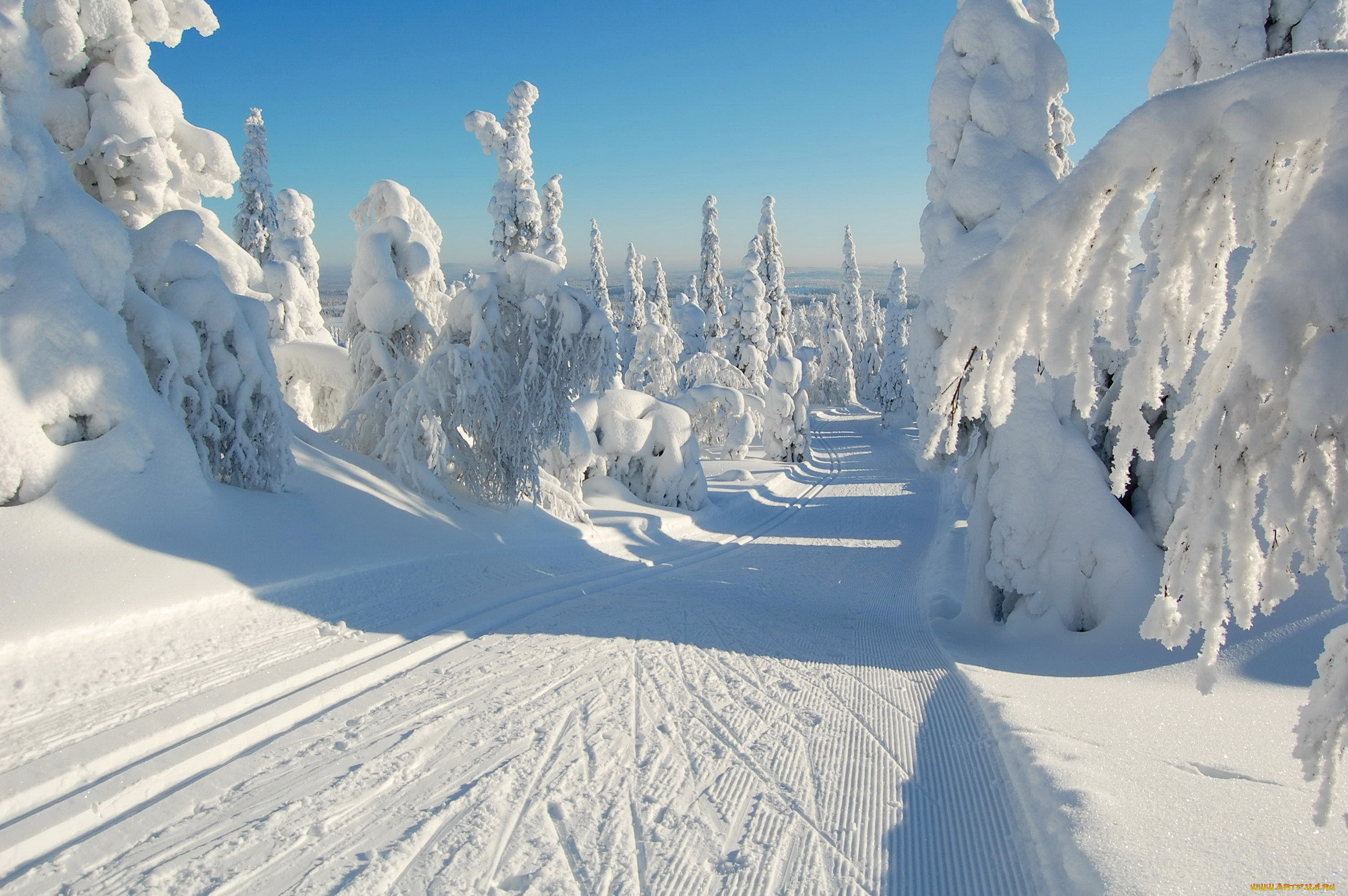 Зима снег фото